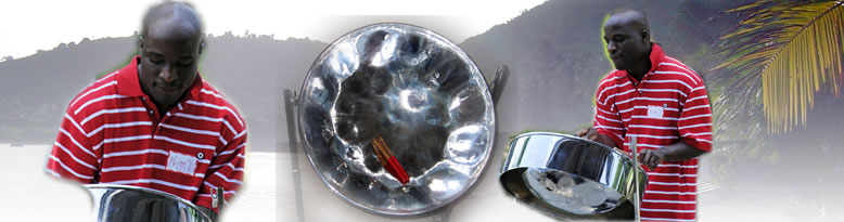Hawaiian steel drum hotsell